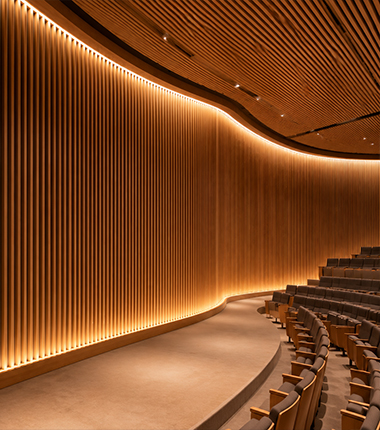 Acoustic Ceilings